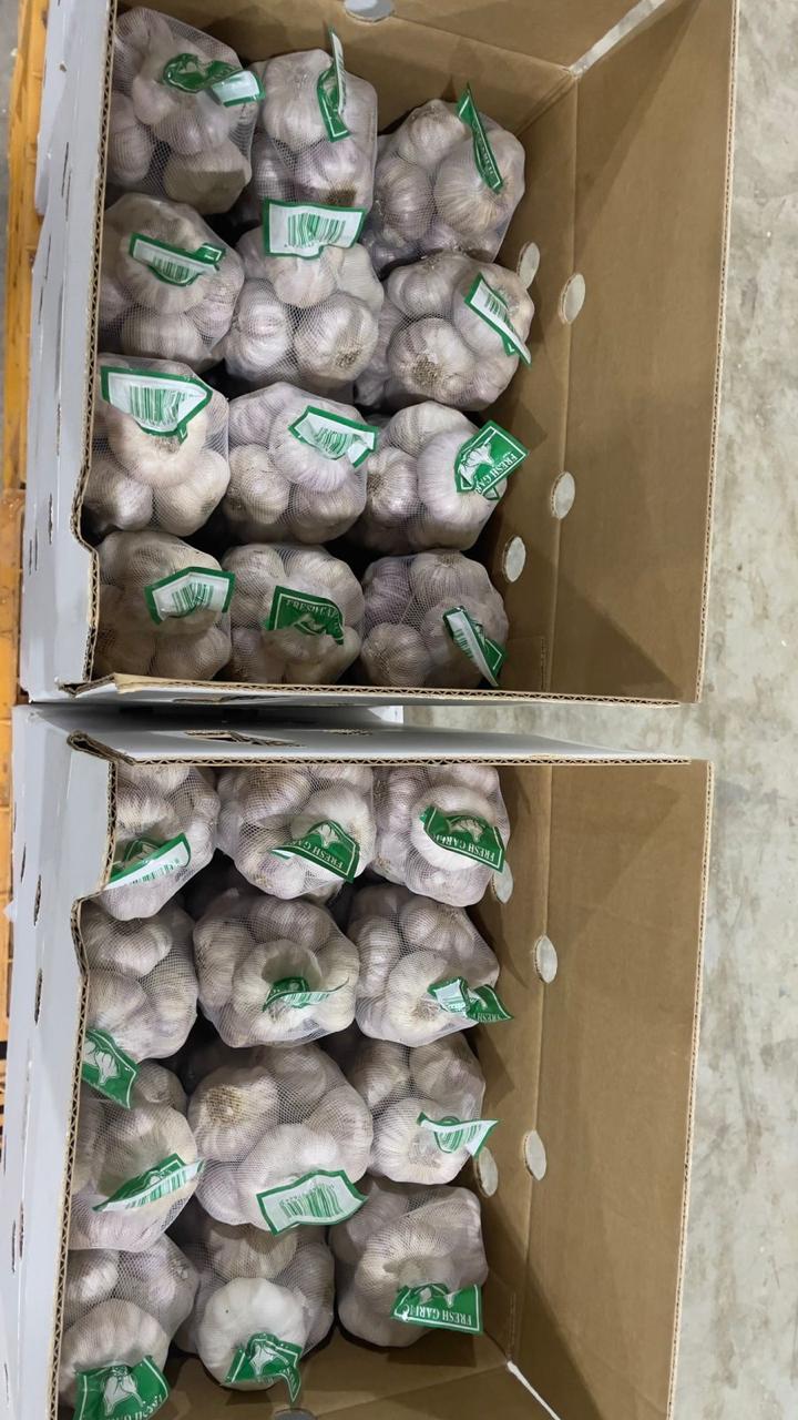 From Farm to Global Markets: How Garlico-ZR Delivers Fresh Produce Worldwide